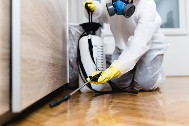 Best Mosquito Control Services  in Trucksville, PA
