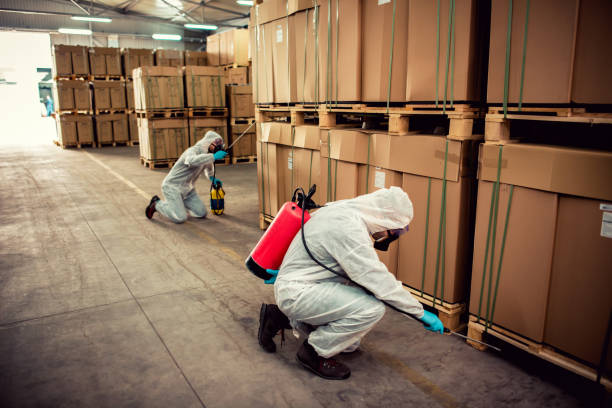 Best Bed Bug Extermination  in Trucksville, PA