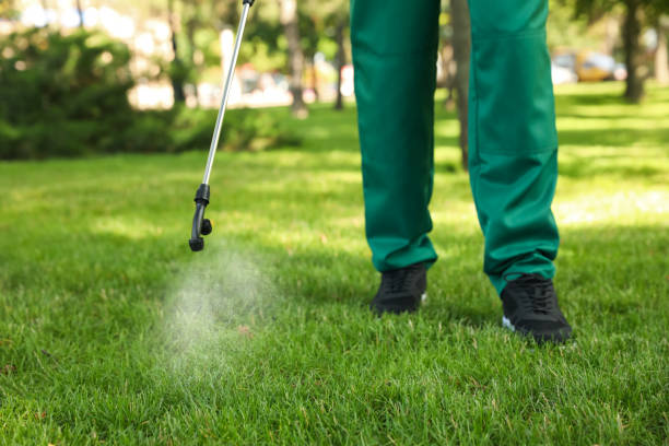 Best Affordable Pest Control Services  in Trucksville, PA