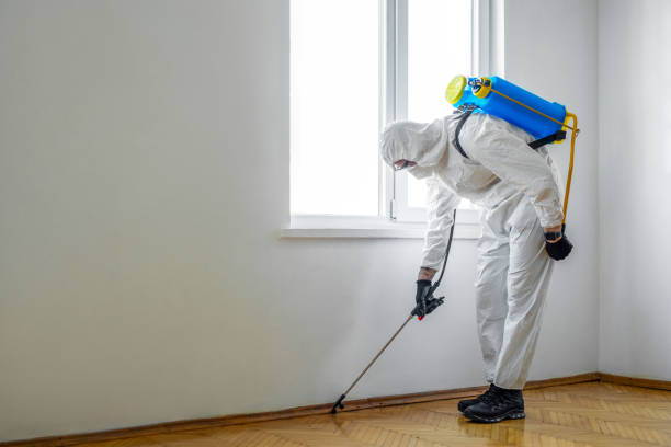 Pest Prevention Services in Trucksville, PA