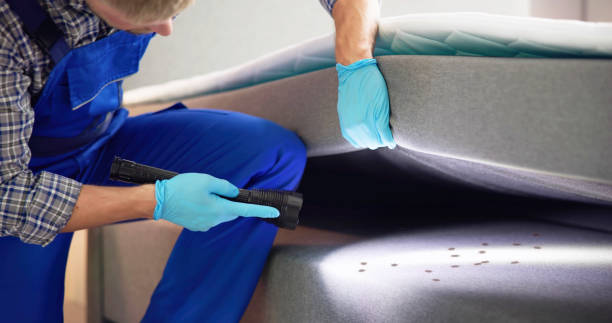 Best Pest Removal Services  in Trucksville, PA
