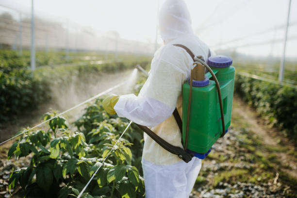 Best Commercial Pest Control Services  in Trucksville, PA